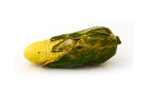 Kukorica, sárga, zöld levelek